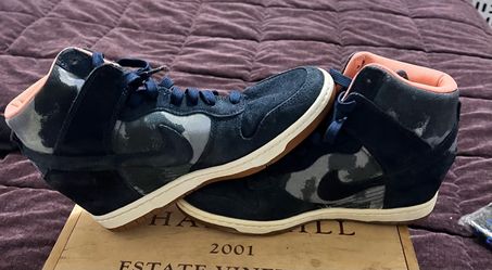 Nike Dunk Sneakers