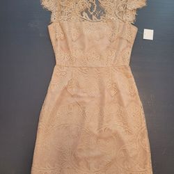 New BB Dakota Womens Jayce Lace   Dress Floral Blush Size 0 XS