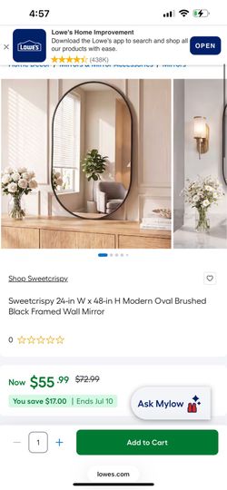 Sweetcrispy 24-in W x 48-in H Modern Oval Brushed Black Framed