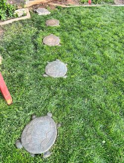 Stepping stones turtle