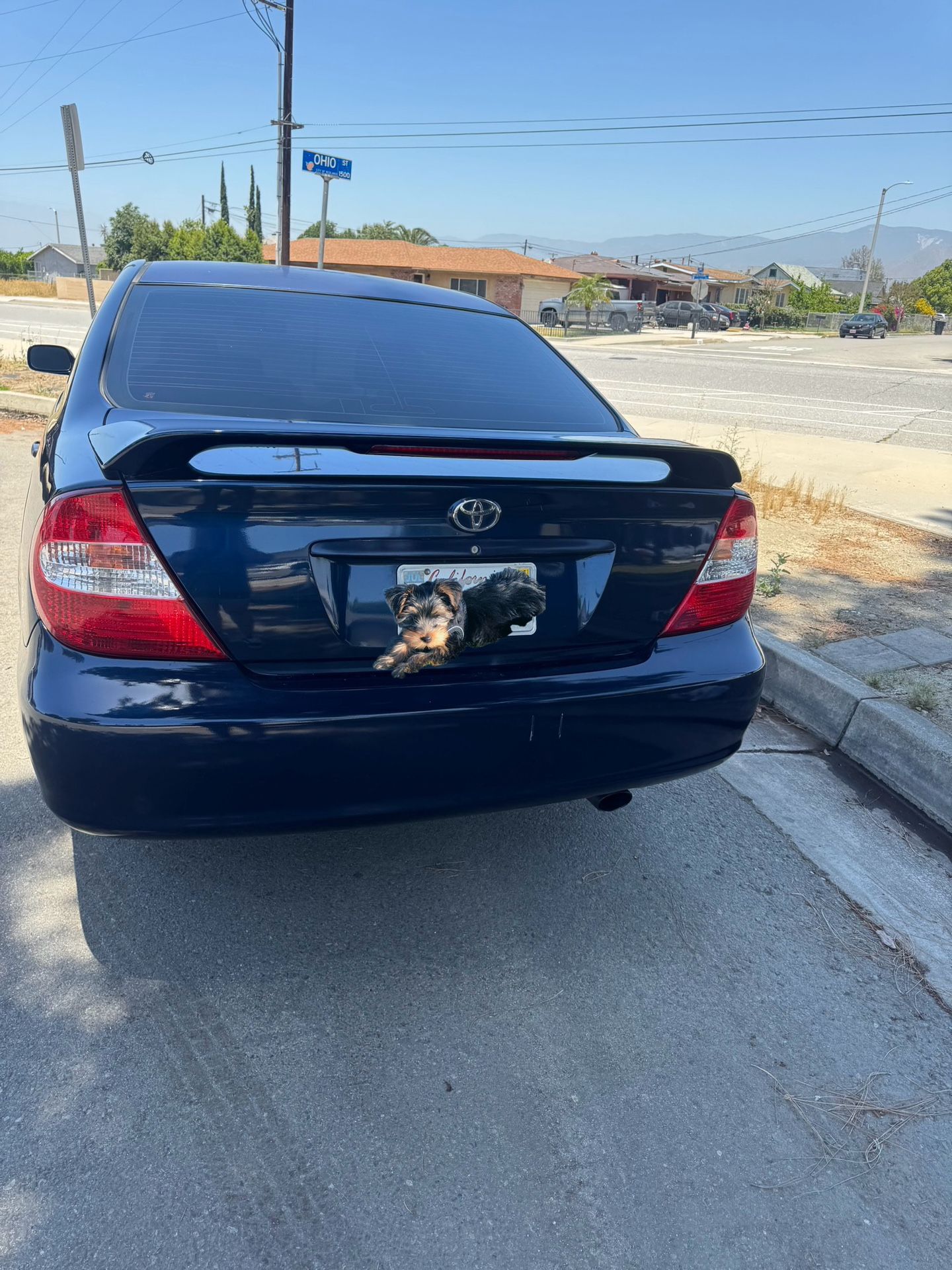 2003 Toyota Camry