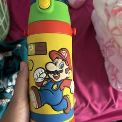 Mario Water Bottle From Japan 