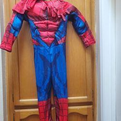 Halloween Costume Sider-man