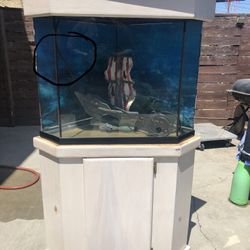 60 GALLON GLASS CORNOR FISH TANK 