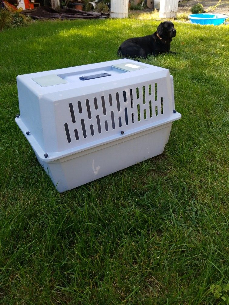 Animal Carrier