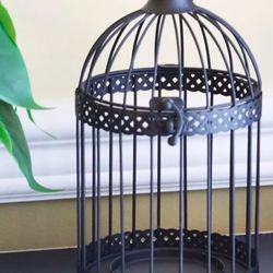 Decorative Bird Cages - Set Of 5