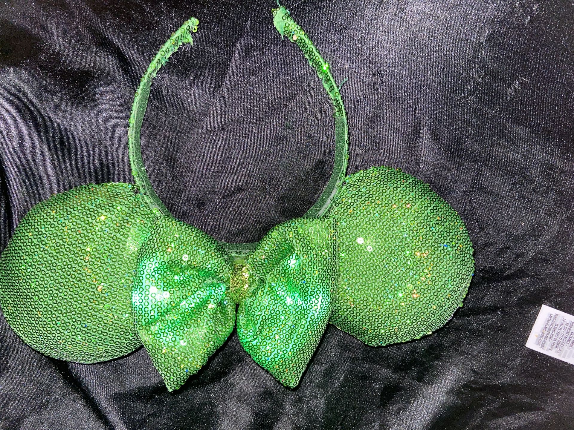 Custom Disney ears