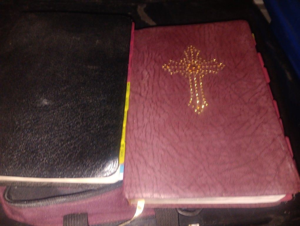 Two Holy Bibles Free