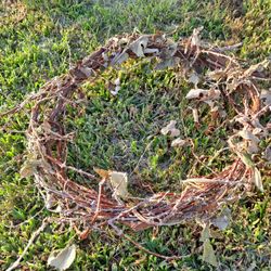 Untreated Vine Wreaths And swags (Not Decorated)