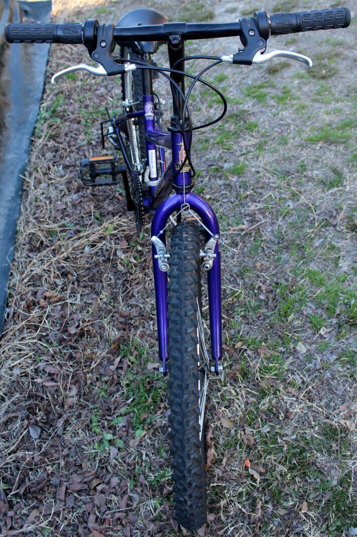 Raleigh USA Scout 24