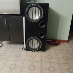 Speaker