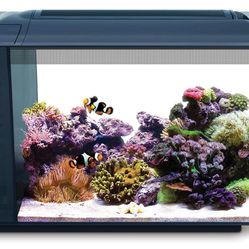 Fluval Saltwater Tank 13.5 Gallon