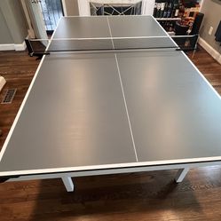 Ping Pong Table