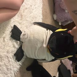 Big Penguin Stuffed Animal