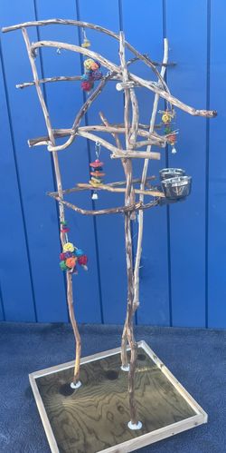 Parrot Perch Tree - Custom Made… Breeder Direct Low Price … AAA + Quality … Yess We Can Deliver !