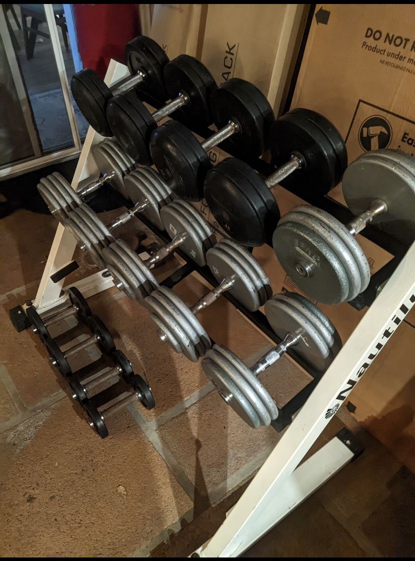 Weights Dumbbell
