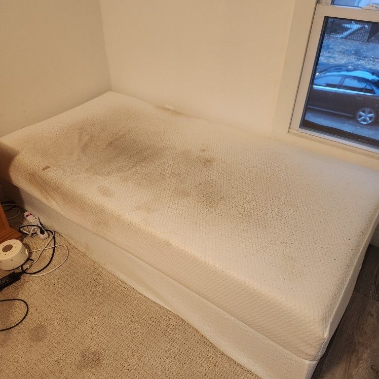 Free Matress And Bedframe