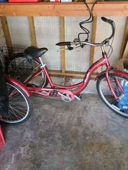 Adult tricycle Schwinn