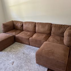 5 Month Old Couch 