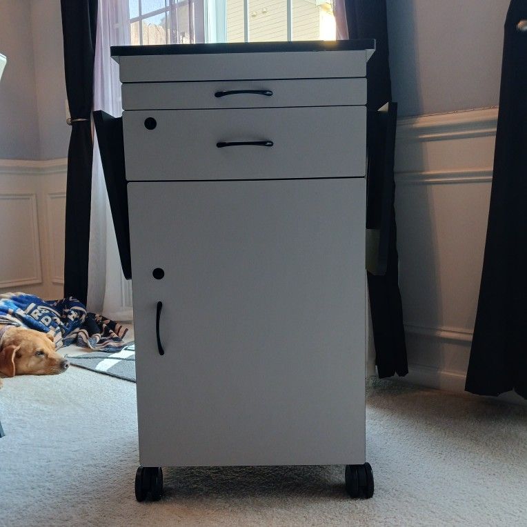 Rolling Cabinet/Standing Desk