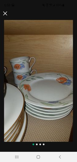Gibson dish set