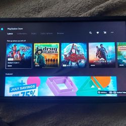Playstation Portal