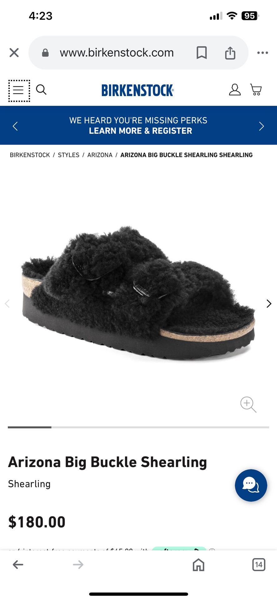 Arizona Big Buckle Pap Teddy Bear