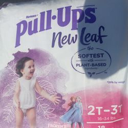 Diapers Pull Ups 2tv3t All 4 Packs For 12