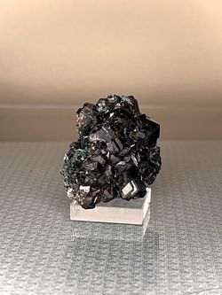 mal#131 Garnet var. Melanite on Actinolite 48g