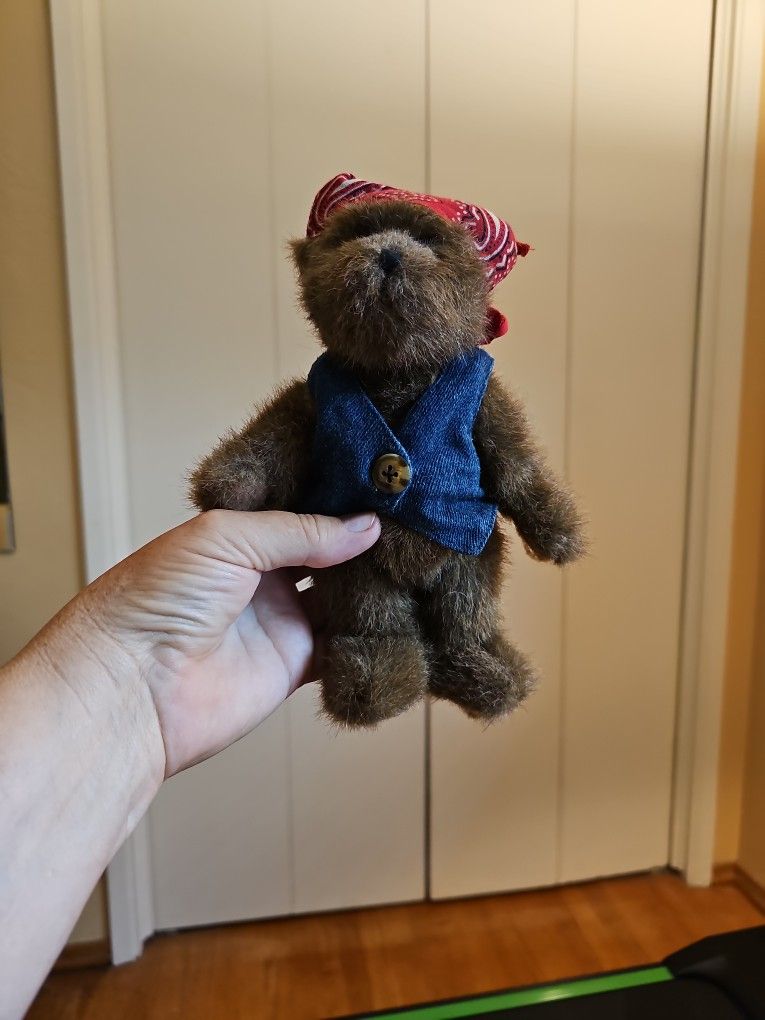 BOYDS BEARS Head Bean Collection "Keep On Ridin" Bear Jr.