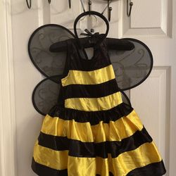 Bumble Bee 🐝 Halloween Costume