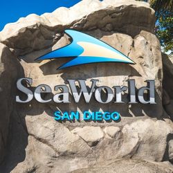 Seaworld Ticket