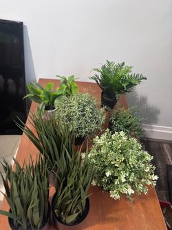 Fake plants
