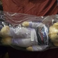 Dale Earnhardt  Sr Bear