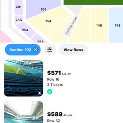 Miami Dolphins Vs Bills