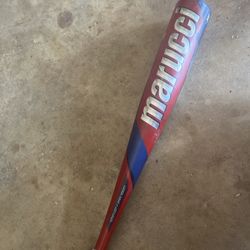 Cat 9 Baseball Bat