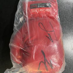 Authentic Julio Cesar Chavez Signed Boxing Glove