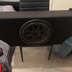 12 Inch Kicker