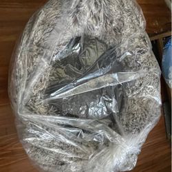 Dog Bed (book bag For Scale)