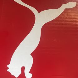 Puma BMW Mens shoes size 11