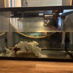 10 Gallon Fish Tank With Filter