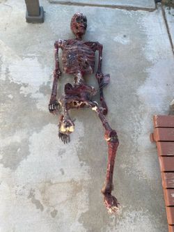 Skeleton