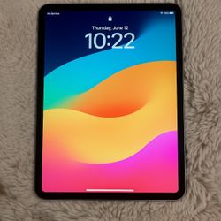 iPad Pro 11-inch 4th Generation 