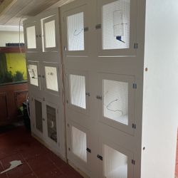 Cajones  Para Puppies  8’x4’