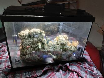20 gal complete fish tank