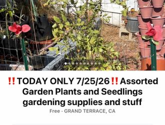 ‼️TODAY ONLY 7/25/26‼️ Free plants seedlings gardening stuff