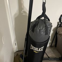 Punching Bag 100LB EVERLAST