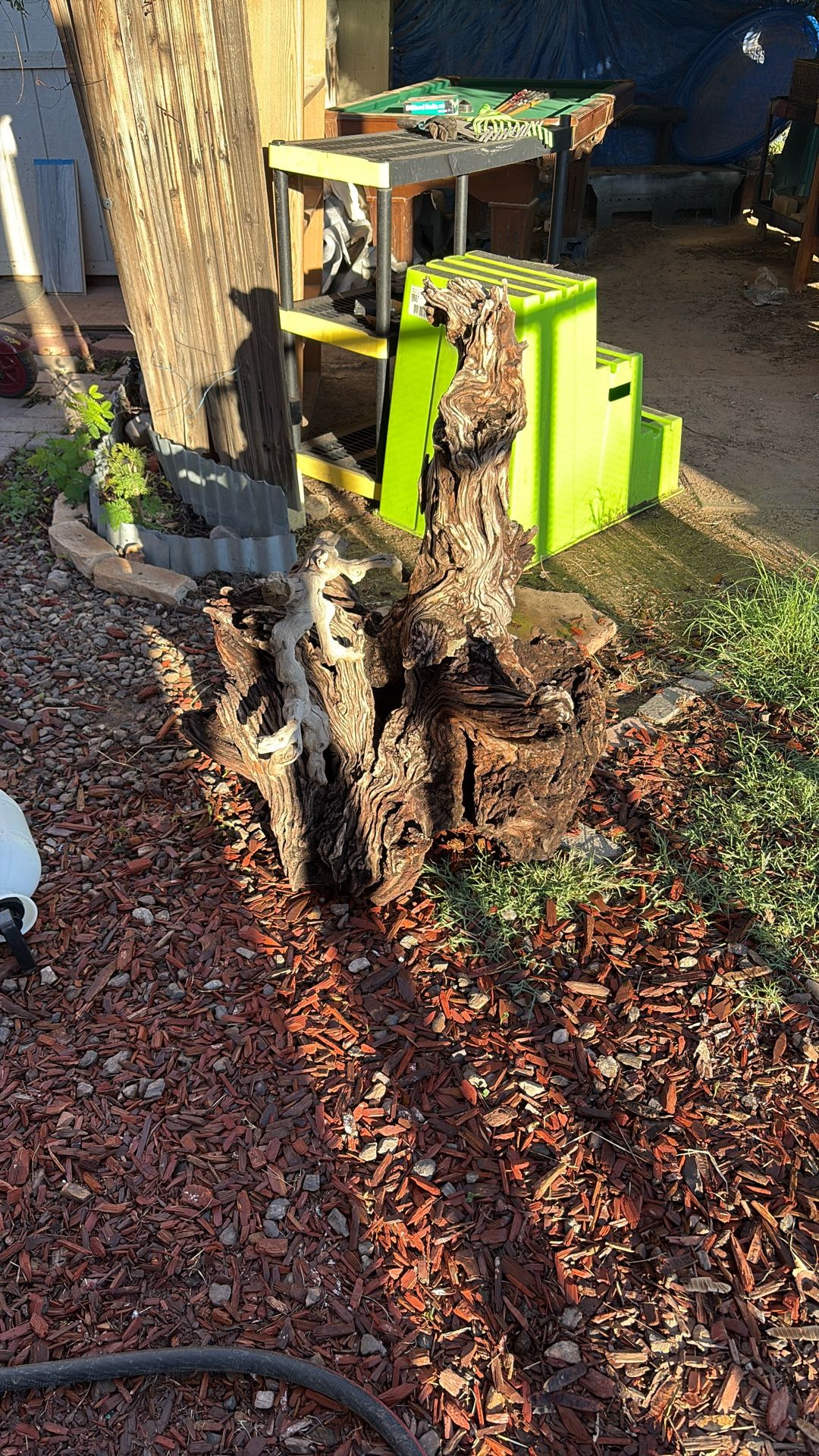 Yard Art Stump