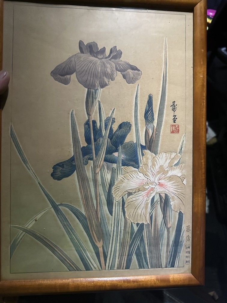 Irises Hondo Nishimura