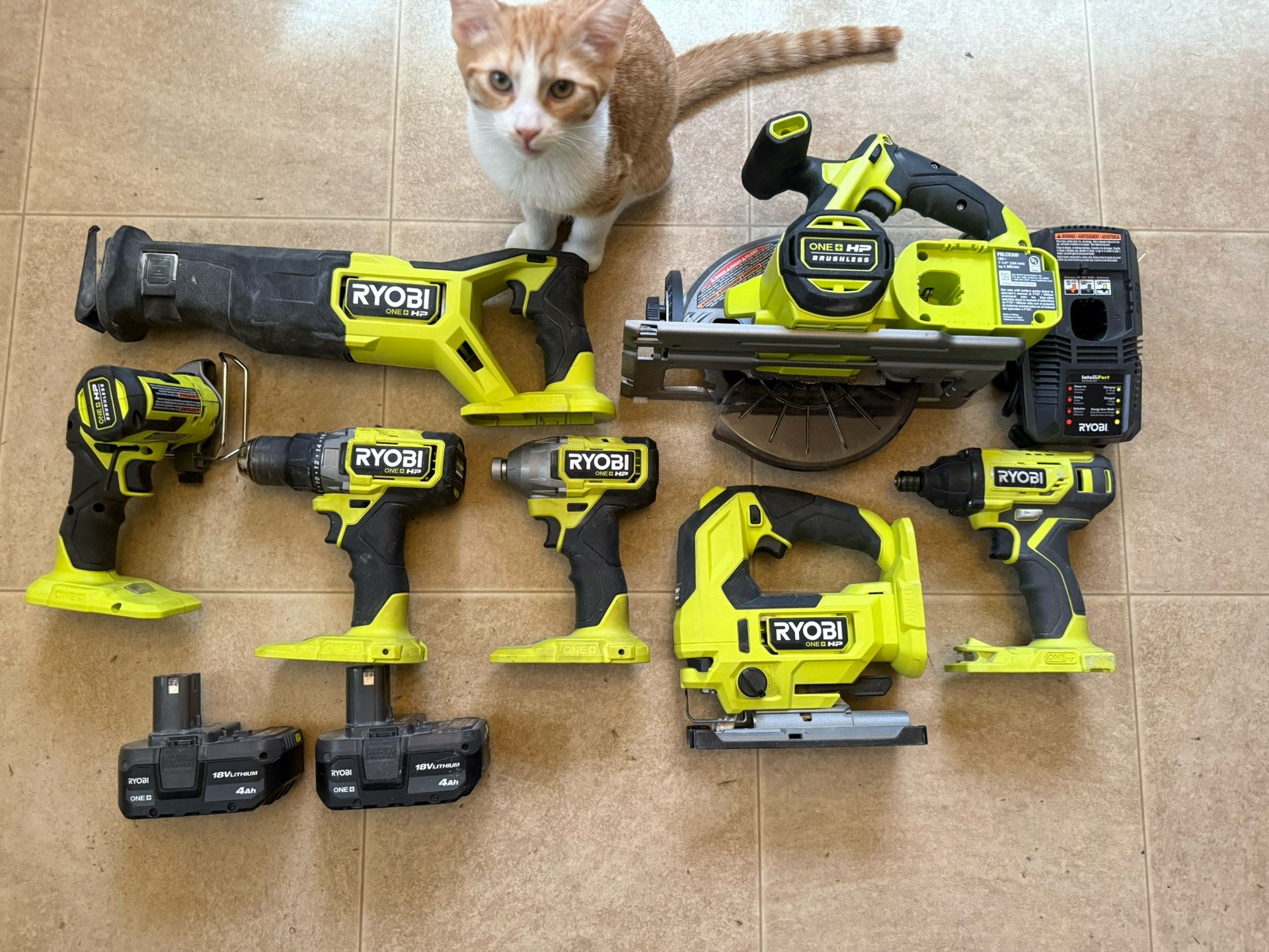 RYOBI Brushless Set Minus The Cat